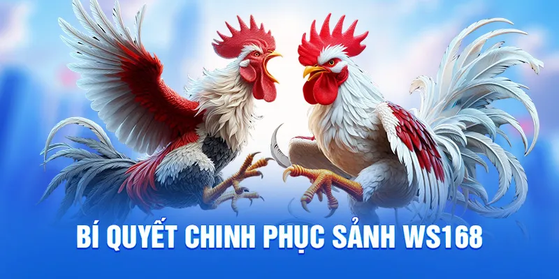 Bí quyết chinh phục sảnh WS168