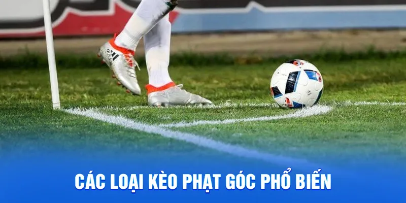 Các loại kèo phạt góc phổ biến
