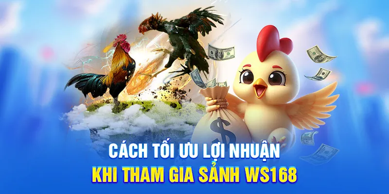 Cách tối ưu lợi nhuận khi tham gia sảnh WS168